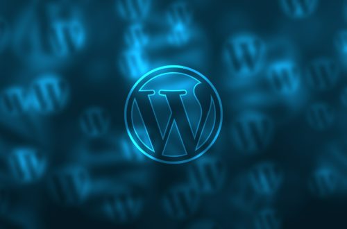 What is WordPress – How to install a WordPress Themes