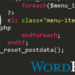 wp_nav_menu() function: How to remove Classes and IDs